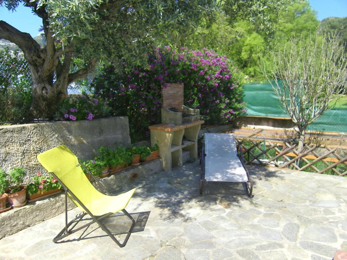 L'arche En Rez De Jardin De A