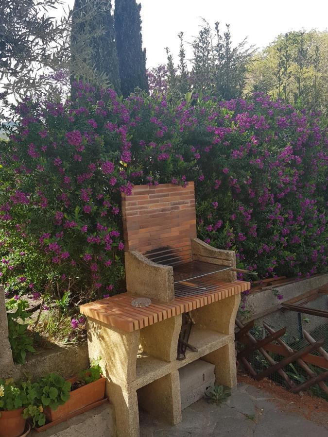 L'arche En Rez De Jardin De A