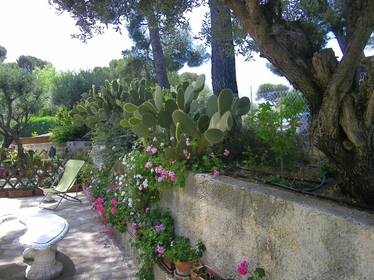 Apartamento L'arche En Rez De Jardin De A Toulon
