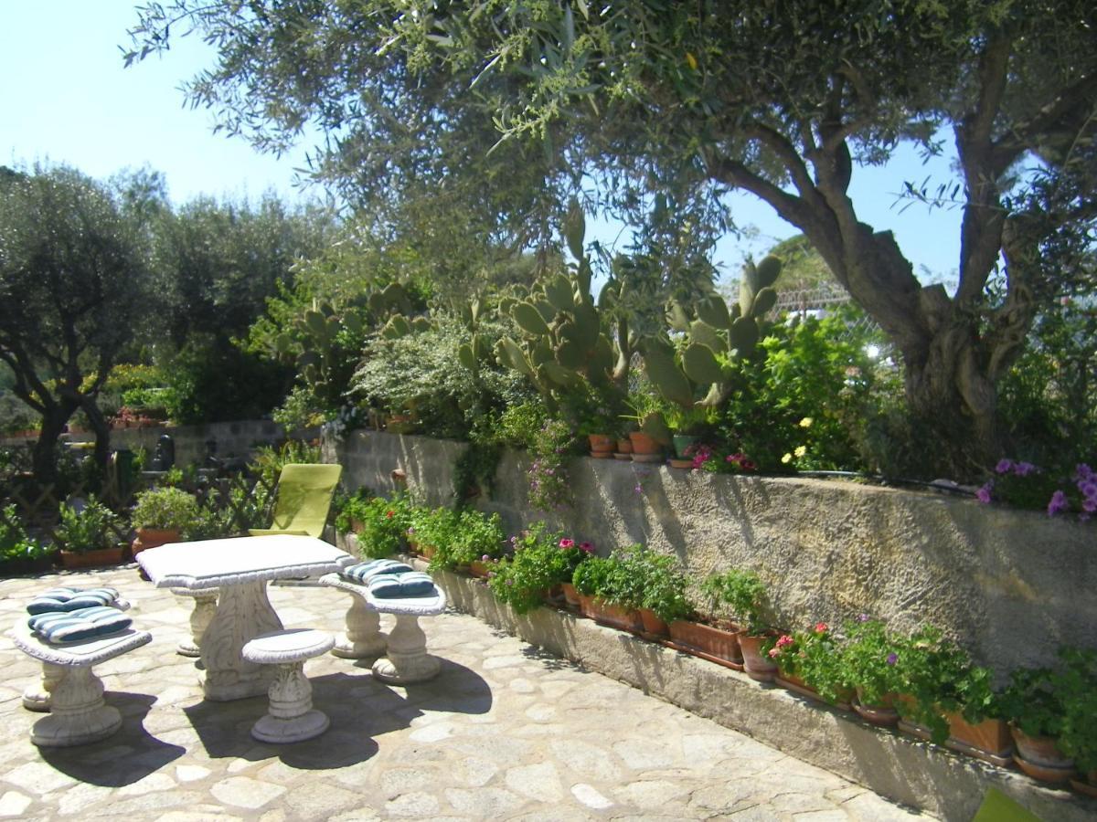 L'arche En Rez De Jardin De A Toulon